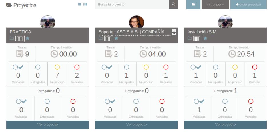 Panel de proyectos